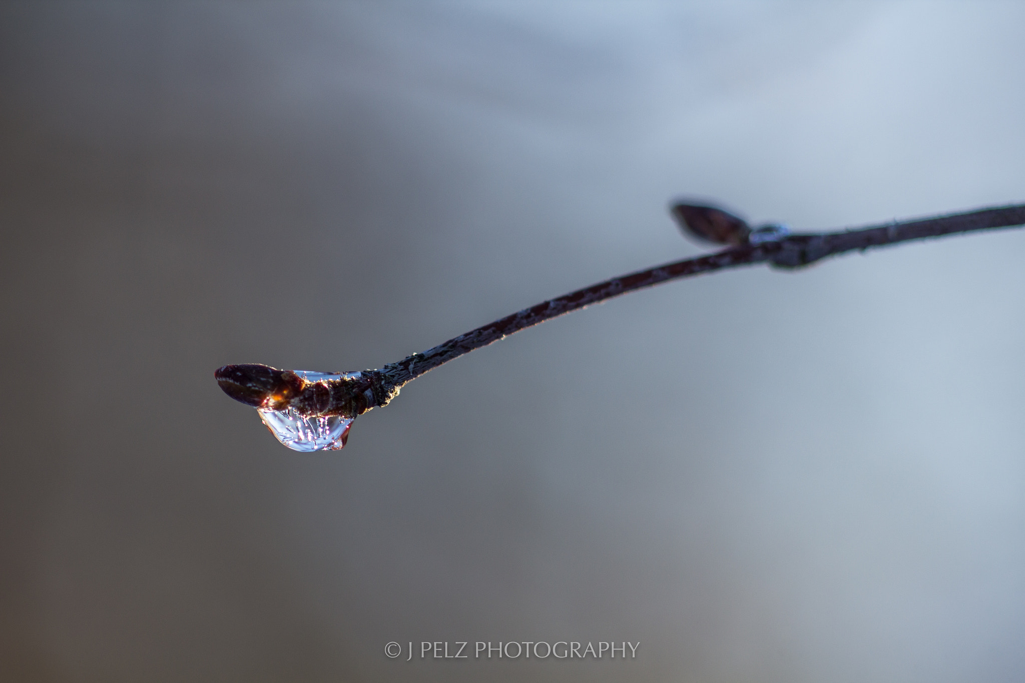 Canon EF 100mm F2.8 Macro USM sample photo. Waterdrop photography