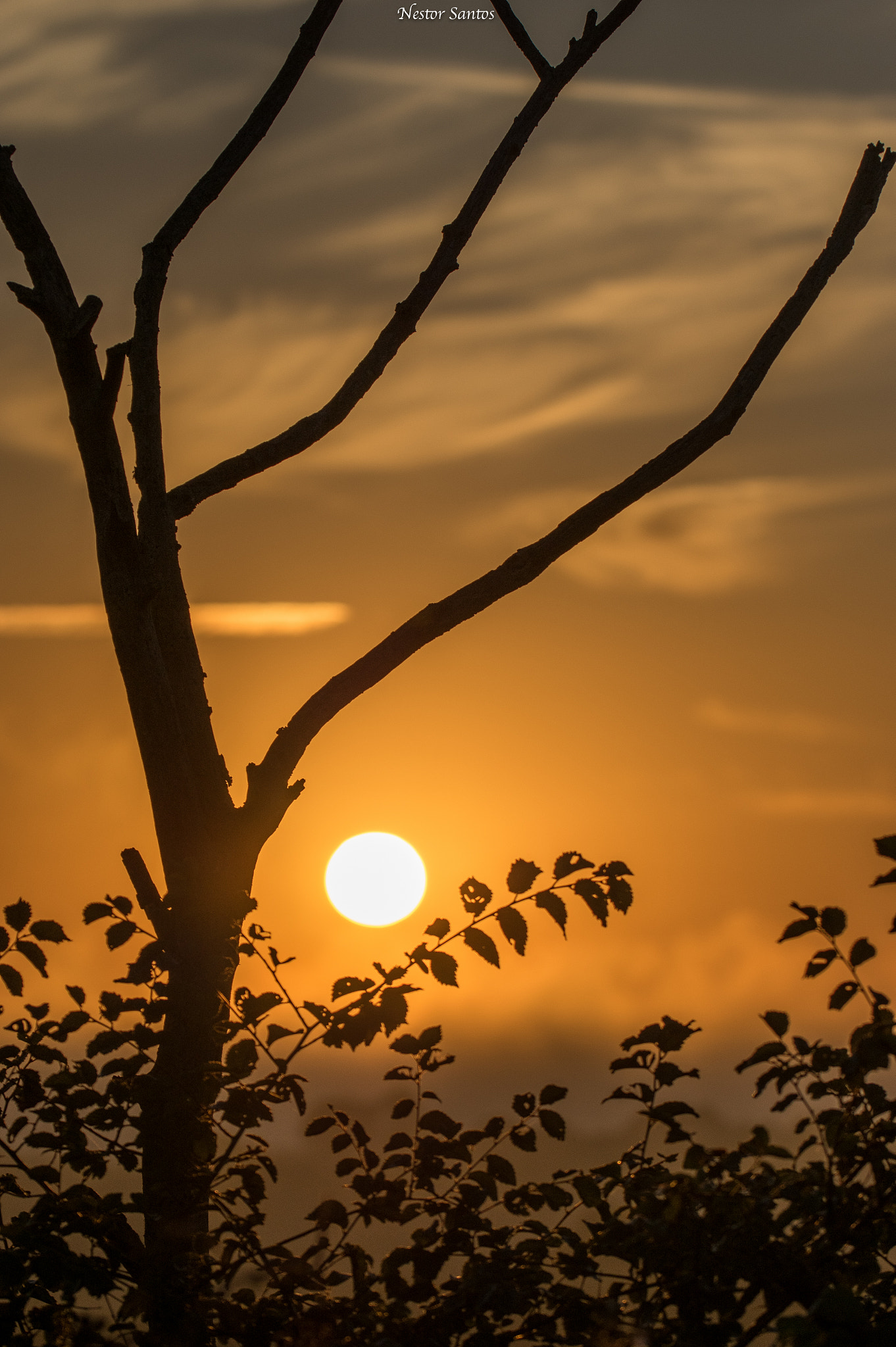 Pentax K-3 sample photo. Sunrise moments photography