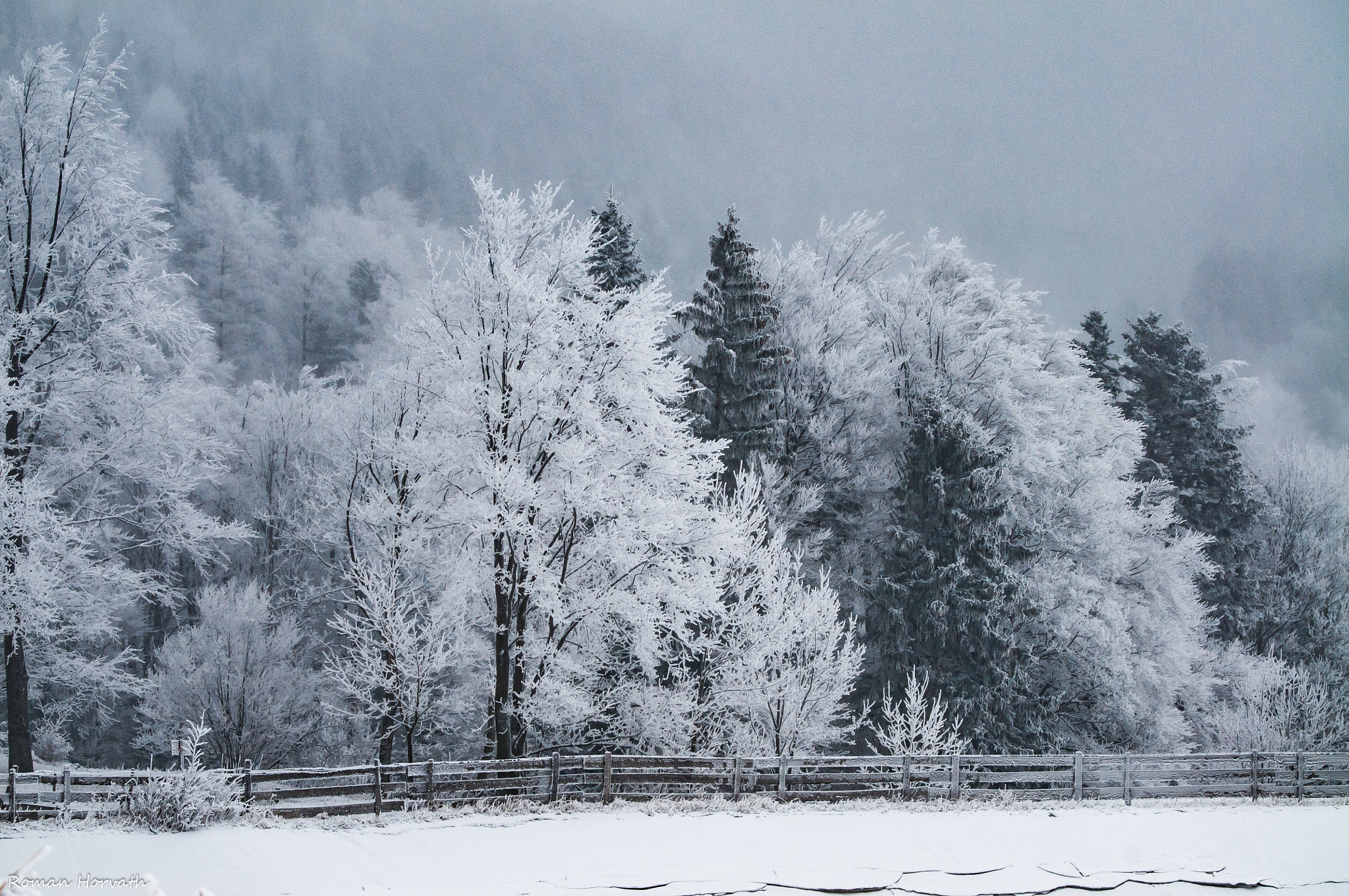 AF Zoom-Nikkor 28-70mm f/3.5-4.5D sample photo. Beautiful cold photography