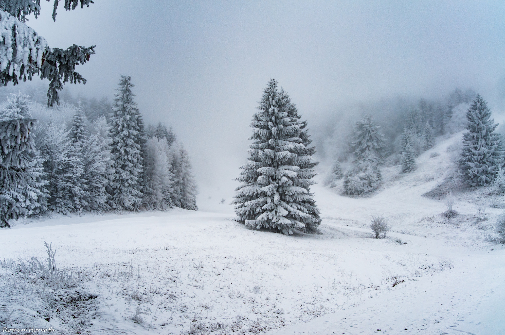 Nikon D300 + AF Zoom-Nikkor 28-70mm f/3.5-4.5D sample photo. Beautiful cold photography