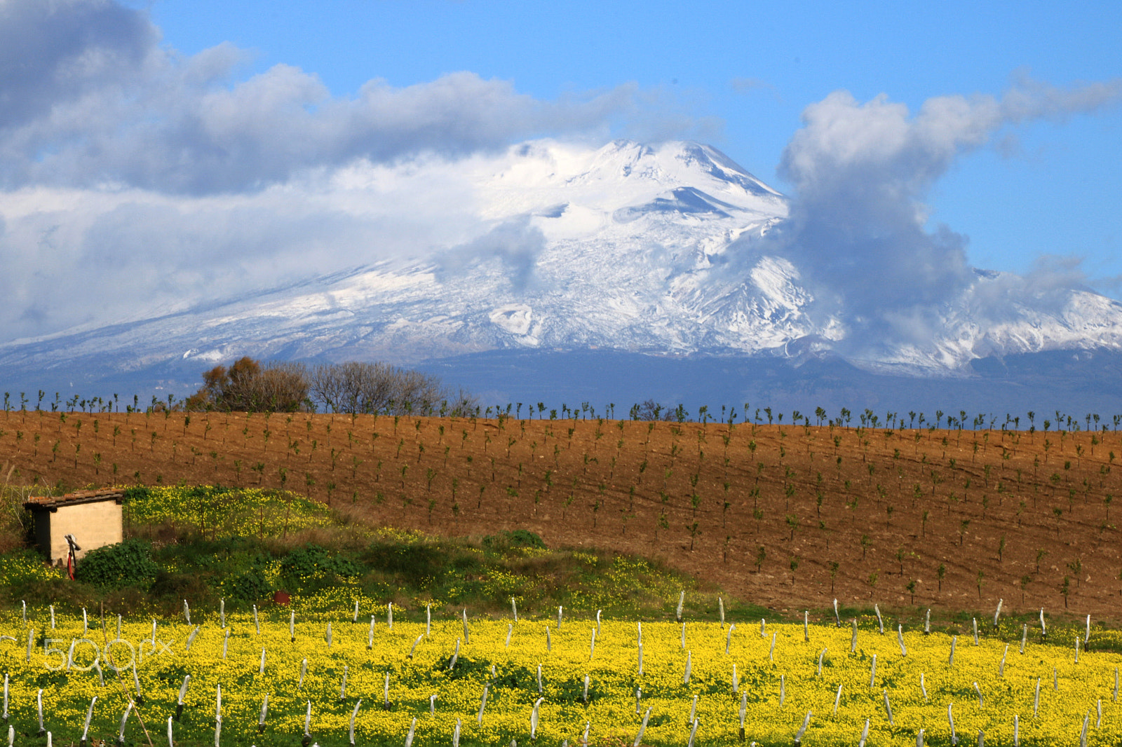 Canon EOS 760D (EOS Rebel T6s / EOS 8000D) + Tamron SP 35mm F1.8 Di VC USD sample photo. I campi dell'etna. photography