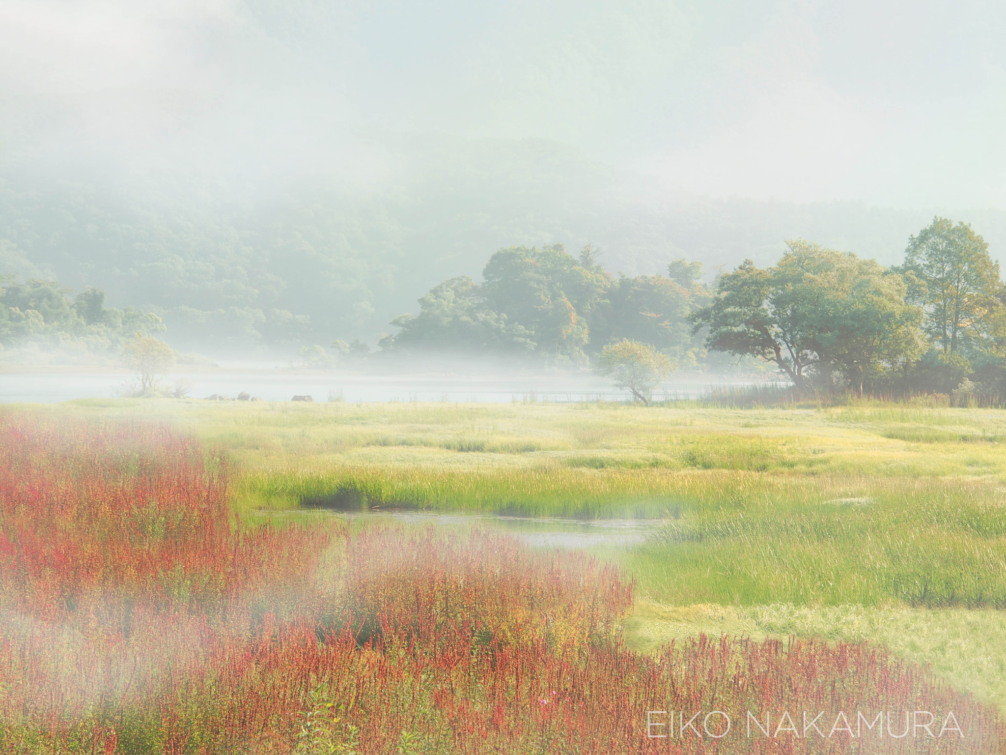 Olympus PEN E-P5 sample photo. Oasis photography