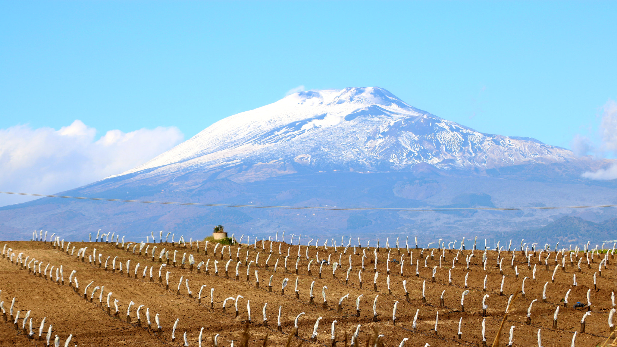 Canon EOS 760D (EOS Rebel T6s / EOS 8000D) sample photo. Unknown field under etna. photography