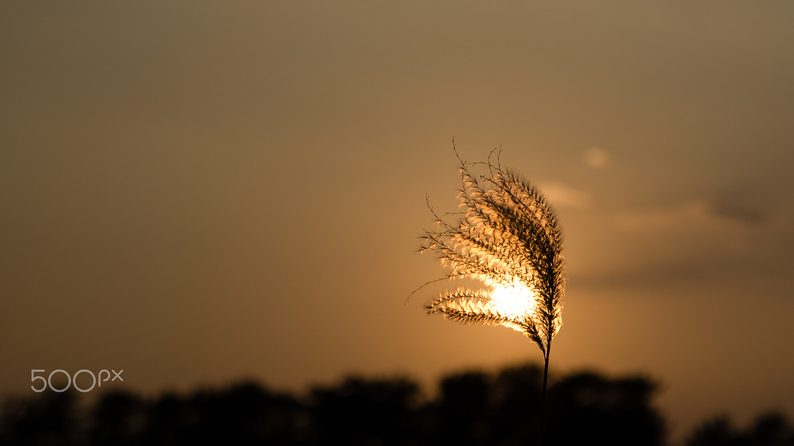 Tamron AF 28-75mm F2.8 XR Di LD Aspherical (IF) sample photo. End of a day photography