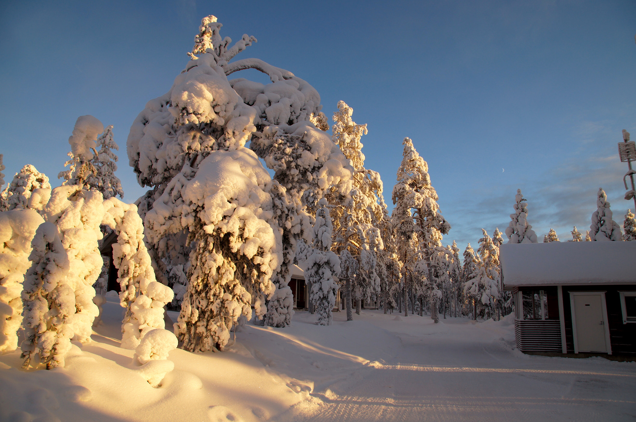 Sony SLT-A35 + Sony DT 16-50mm F2.8 SSM sample photo. Winter in rovaniemi photography