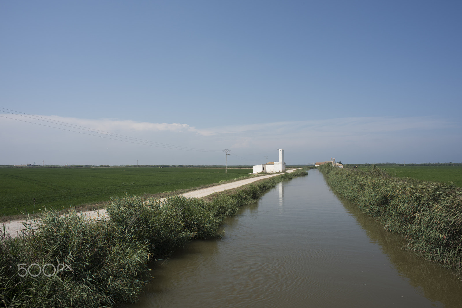 Nikon D810 + Nikon AF Nikkor 24mm F2.8D sample photo. Rice fields parc natural de l'albufera , valencia, photography