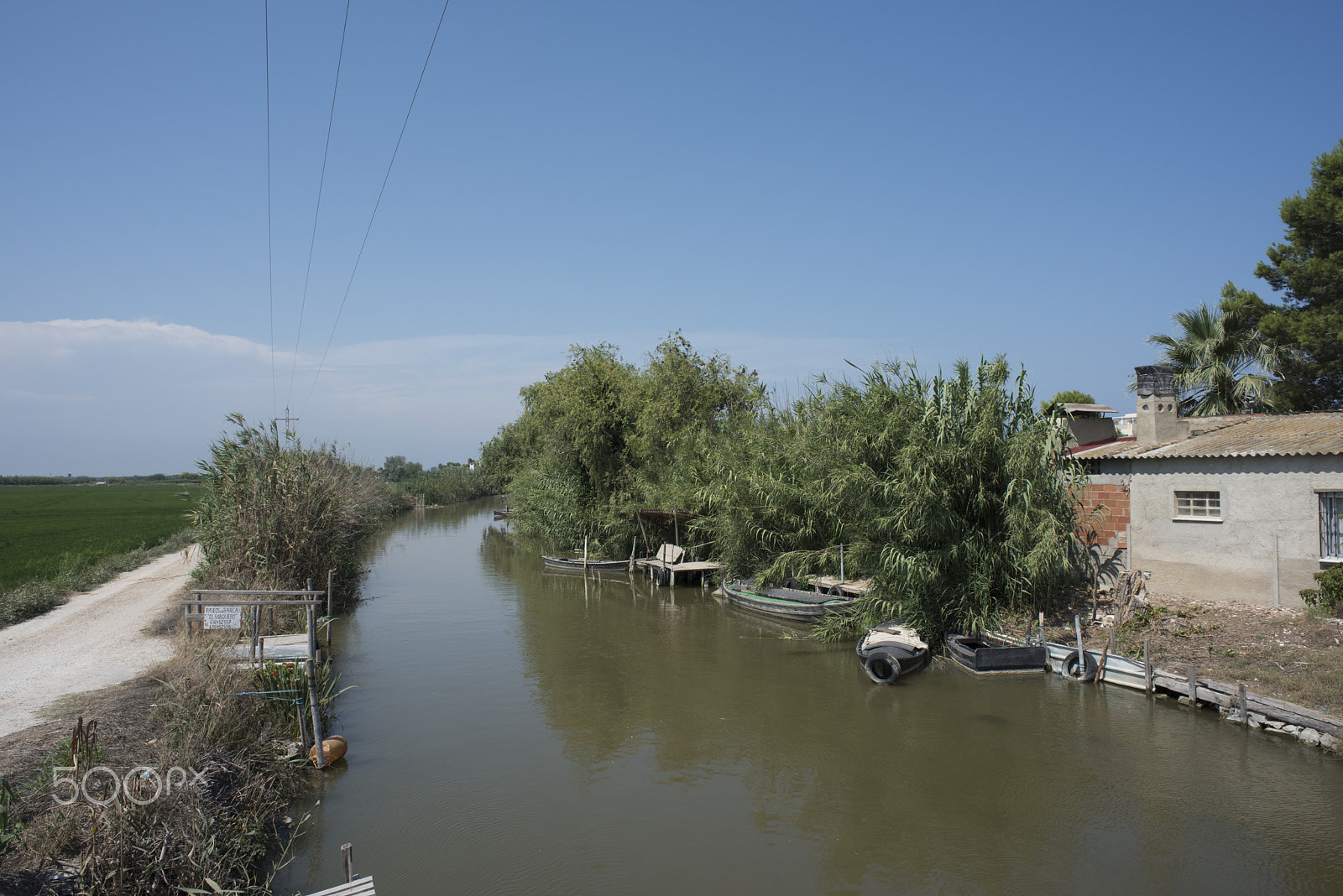 Nikon D810 + Nikon AF Nikkor 24mm F2.8D sample photo. Rice fields parc natural de l'albufera , valencia, photography