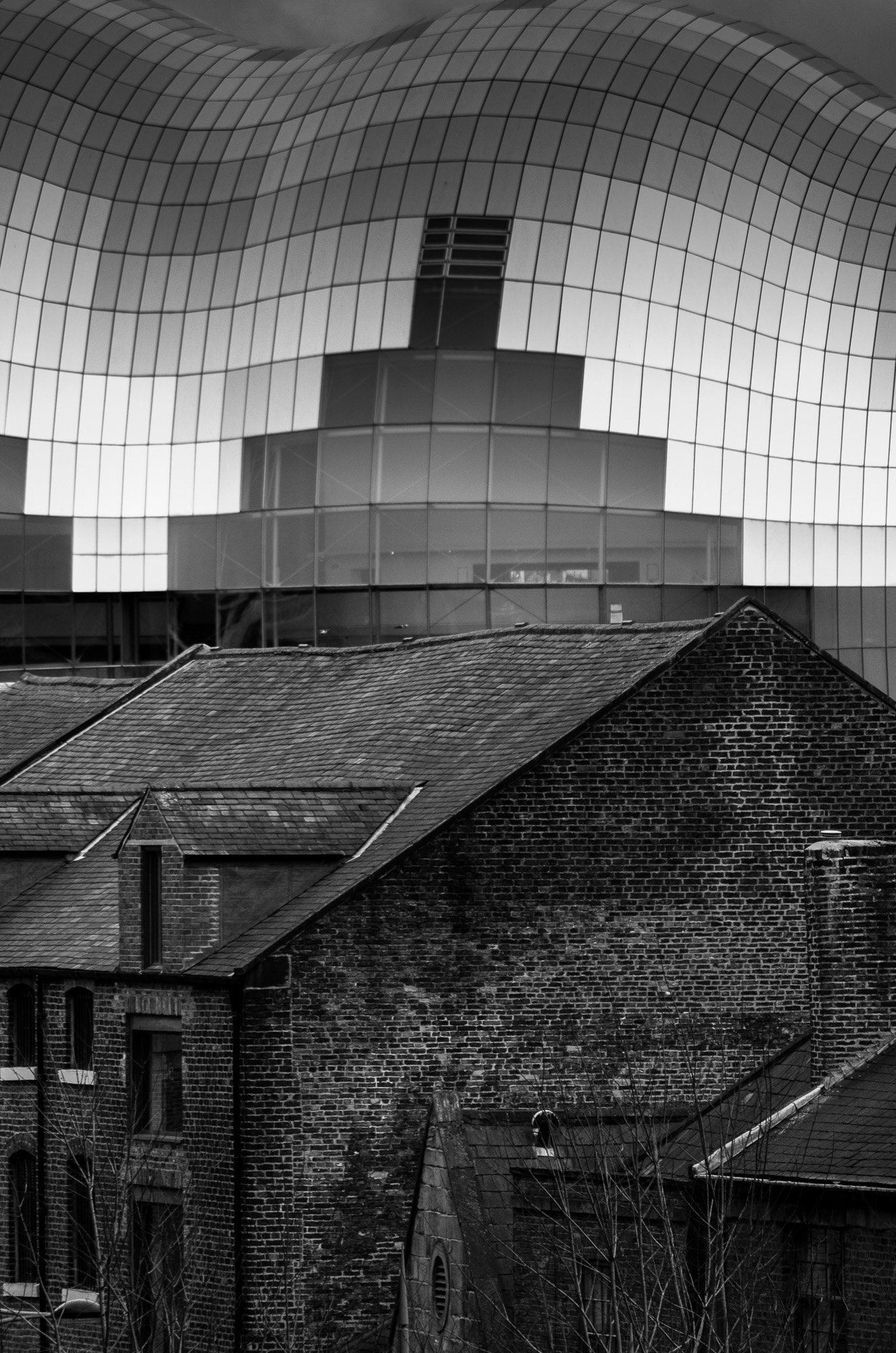 Pentax smc DA 50-200mm F4-5.6 ED WR sample photo. Newcastle photography