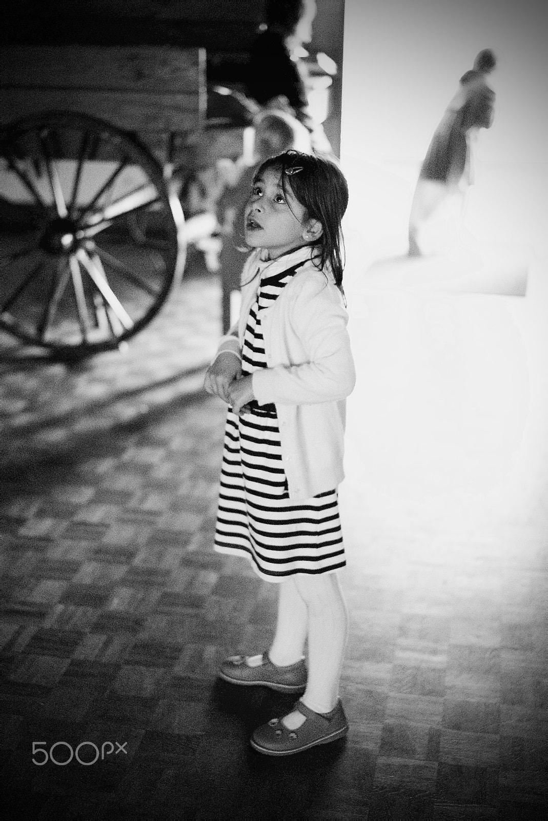 Sony a7S + Sony Sonnar T* FE 55mm F1.8 ZA sample photo. Look up photography