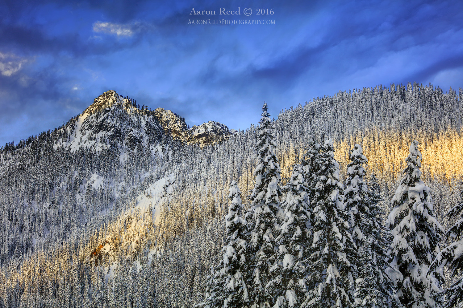 Canon EOS 5DS R + Canon EF 70-200mm F4L USM sample photo. Winters kiss photography