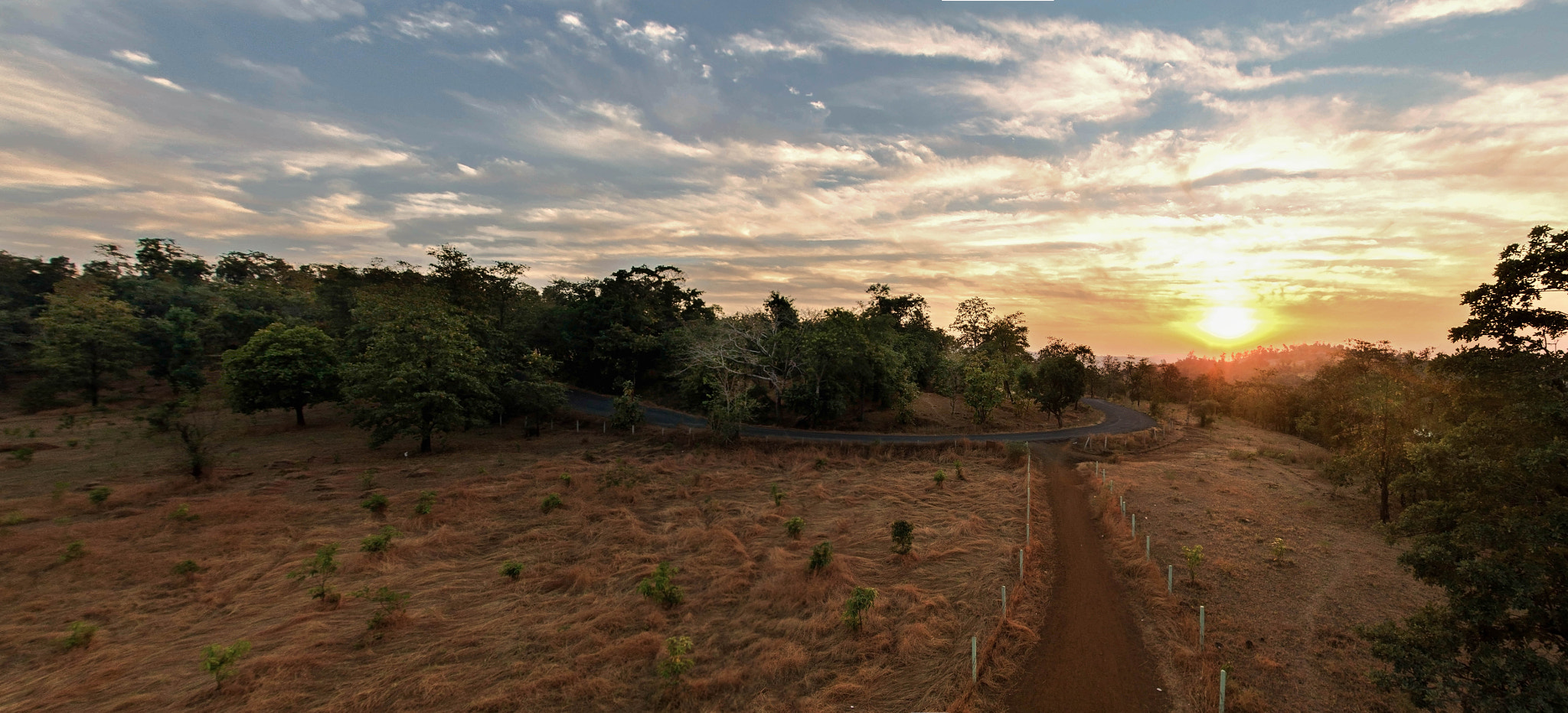 Sigma 17-70mm F2.8-4 DC Macro OS HSM sample photo. Beauty of nature photography