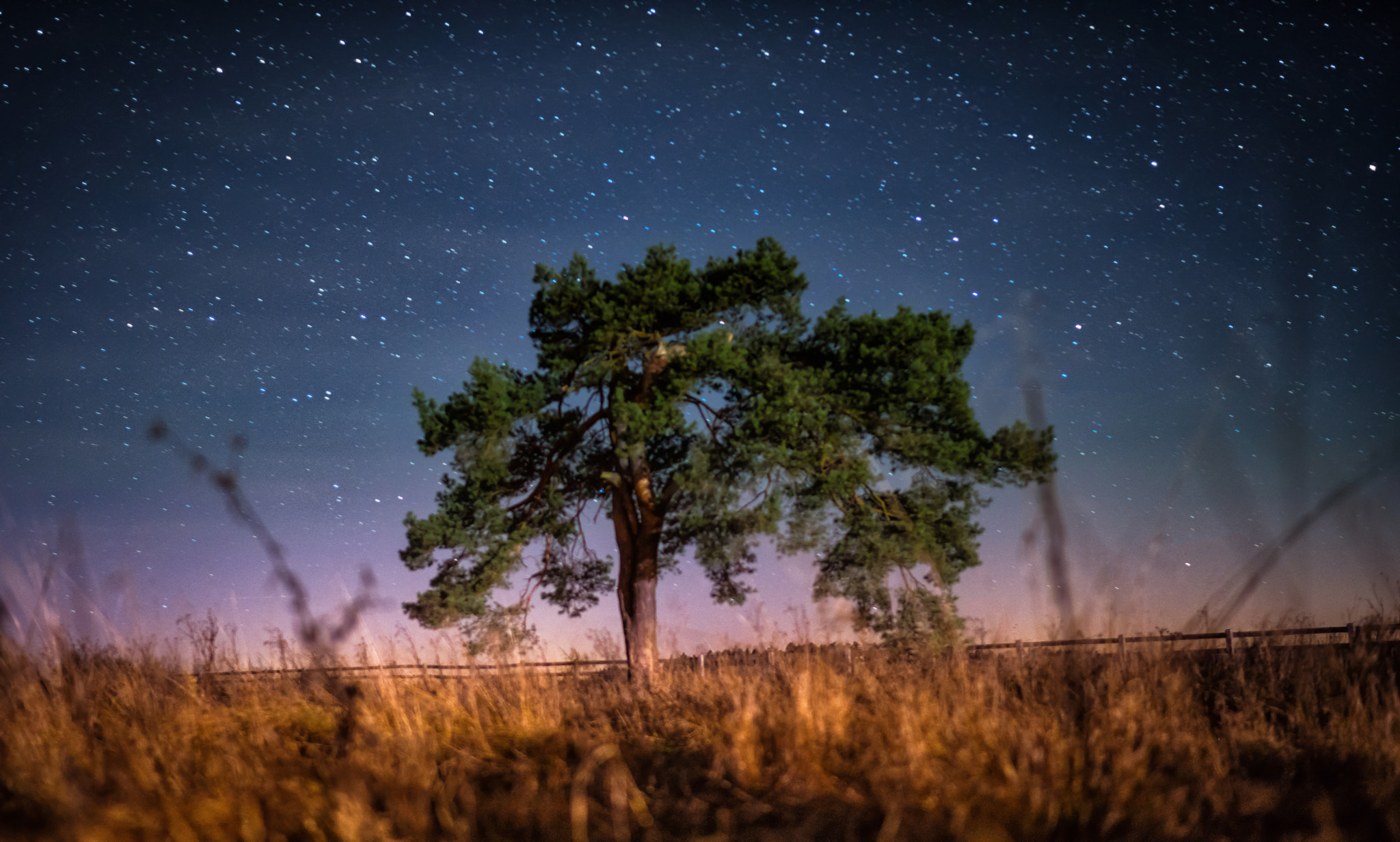 Sony a7R + FE 35mm F0 ZA sample photo. Night sky photography