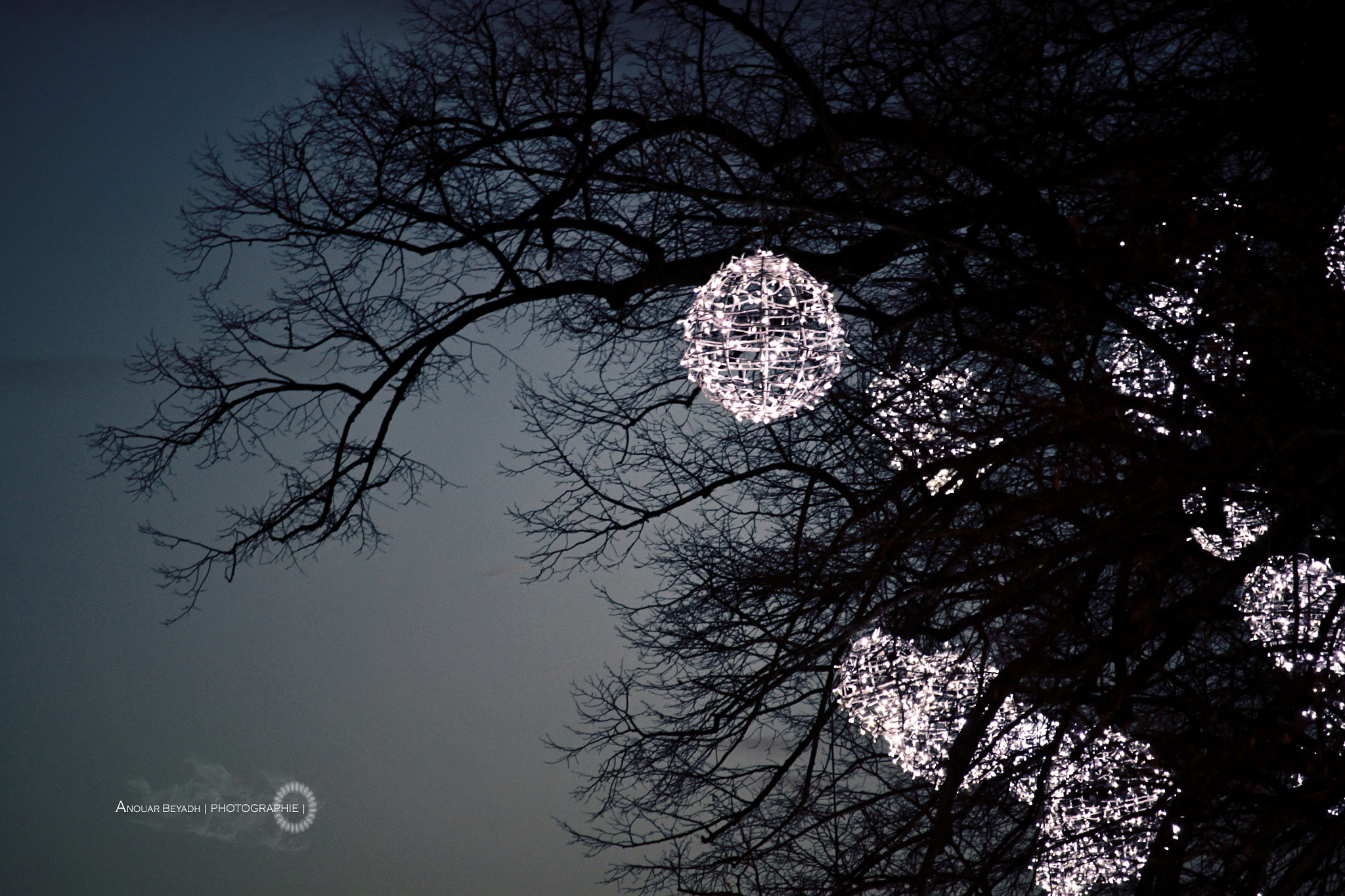 Canon EF-S 55-250mm F4-5.6 IS STM sample photo
