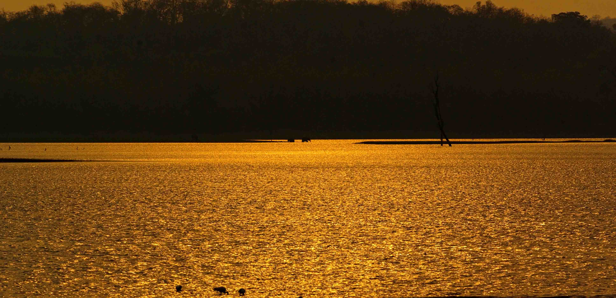 Pentax K10D + Pentax smc DA* 200mm F2.8 ED (IF) SDM sample photo. Dusk!!! kabini backwaters photography