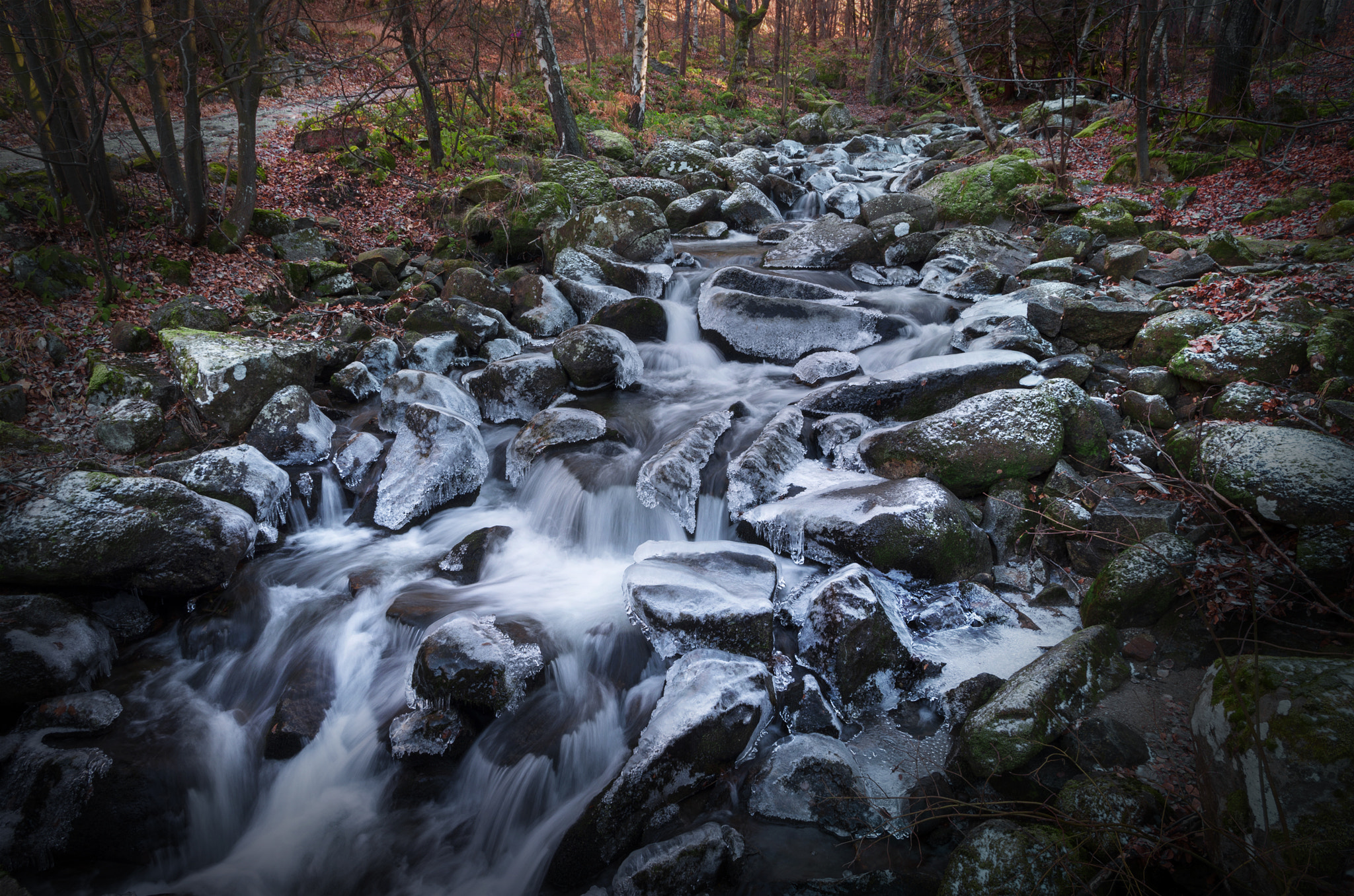 Pentax K-5 sample photo. When the seasons meet photography