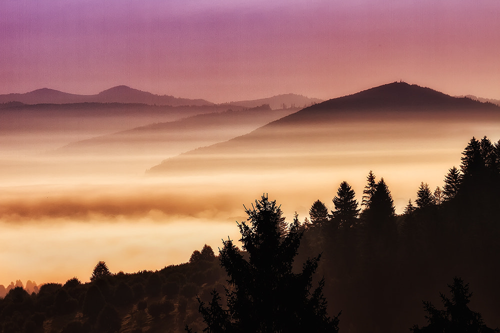 Sigma 50-500mm f/4-6.3 APO HSM EX sample photo. Transylvania magic photography