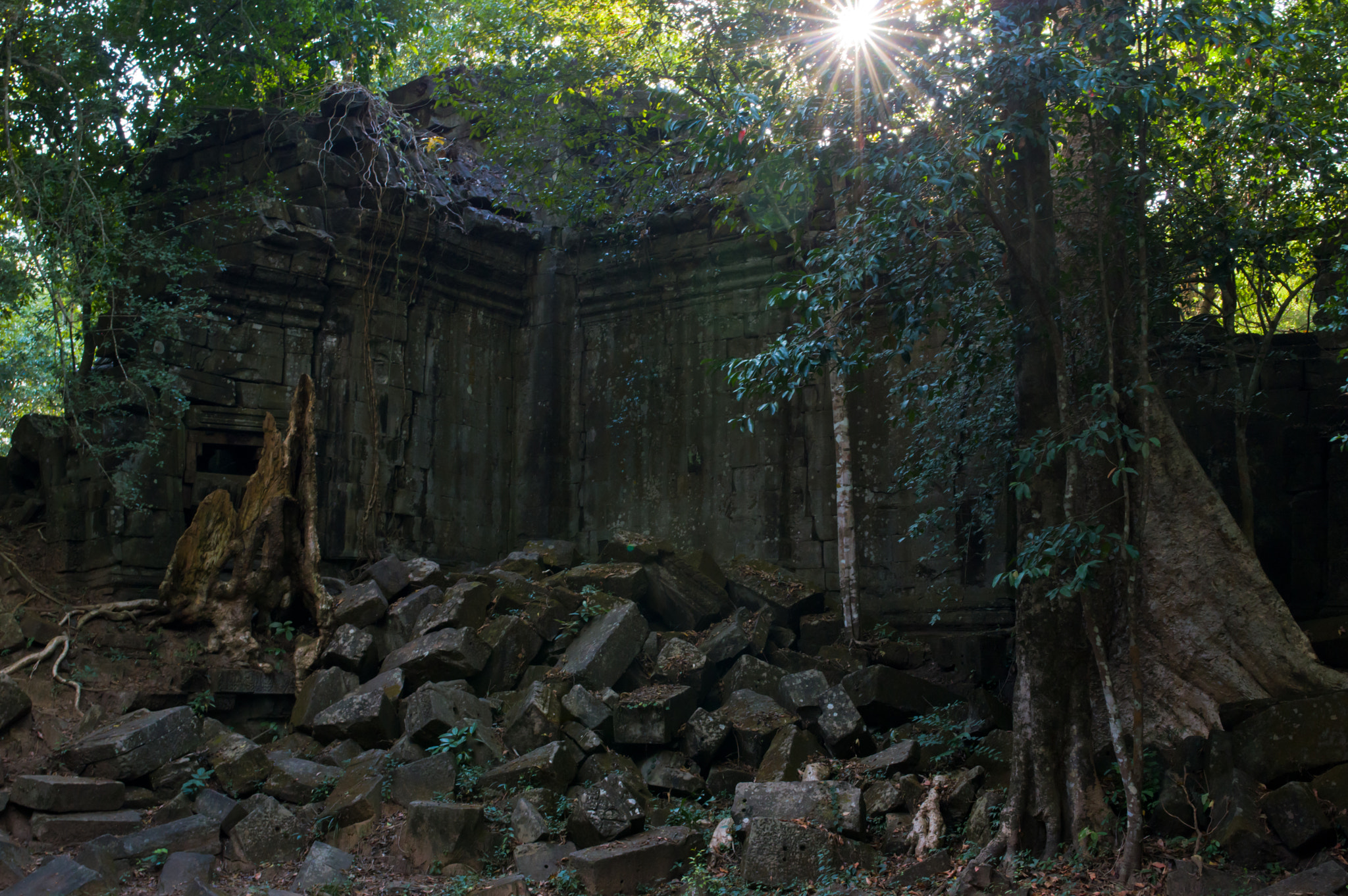 Pentax smc FA 31mm F1.8 AL Limited sample photo. Cambodia photography