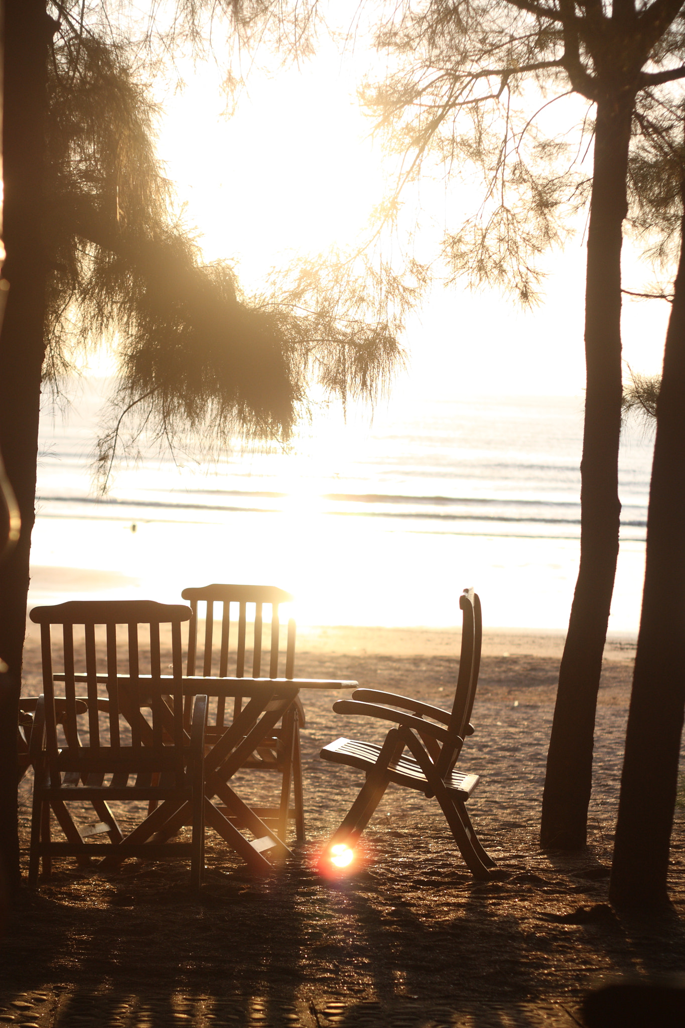 Canon EOS 450D (EOS Rebel XSi / EOS Kiss X2) + Canon EF 50mm F1.8 II sample photo. The chairs-the back light-the beach photography