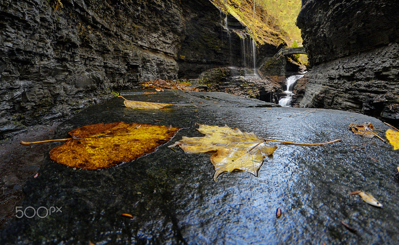 Nikon D610 + Samyang 8mm F3.5 Aspherical IF MC Fisheye sample photo. Finger lakes autumn photography