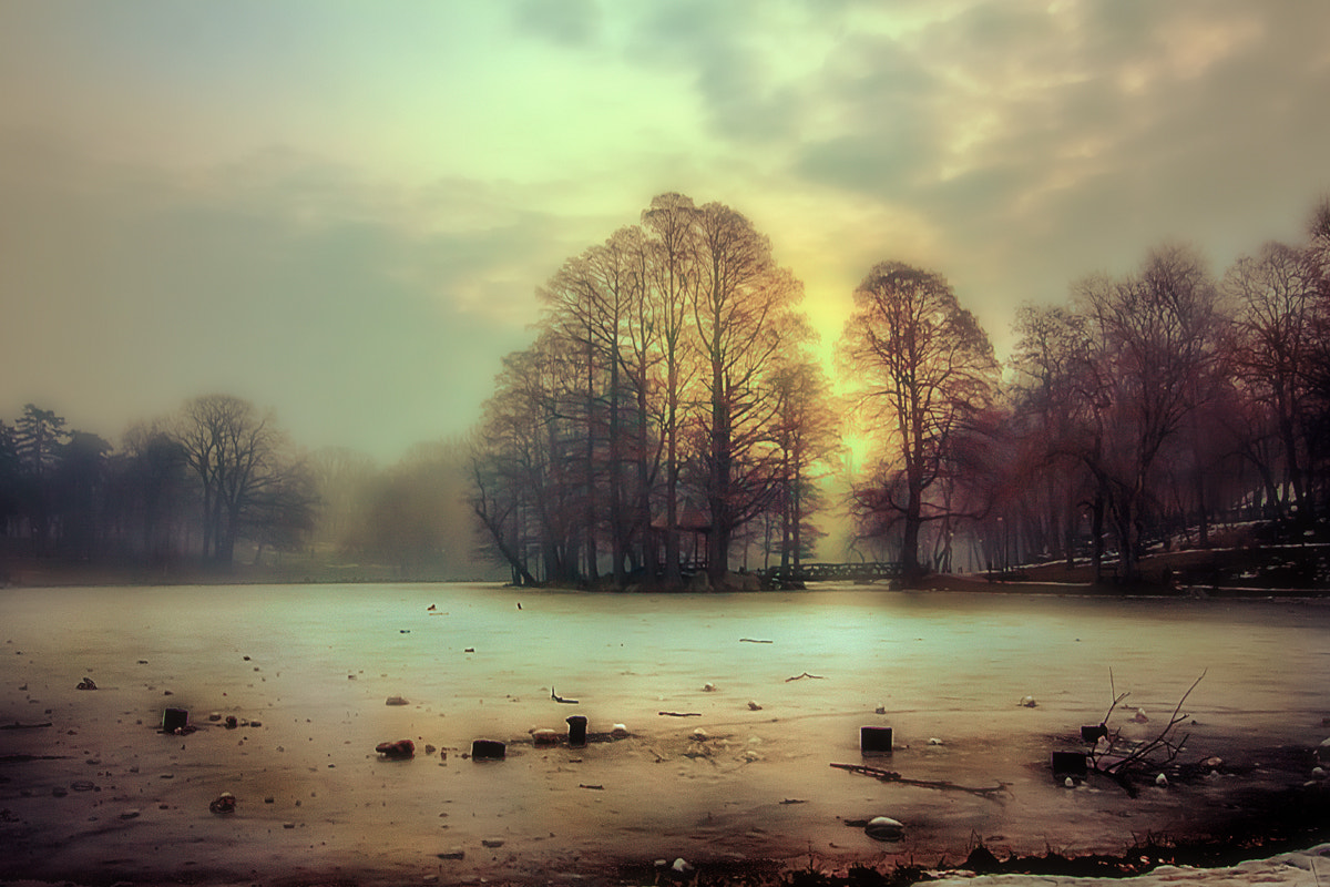 Tokina AT-X Pro 12-24mm F4 (IF) DX sample photo. Winter in colors photography