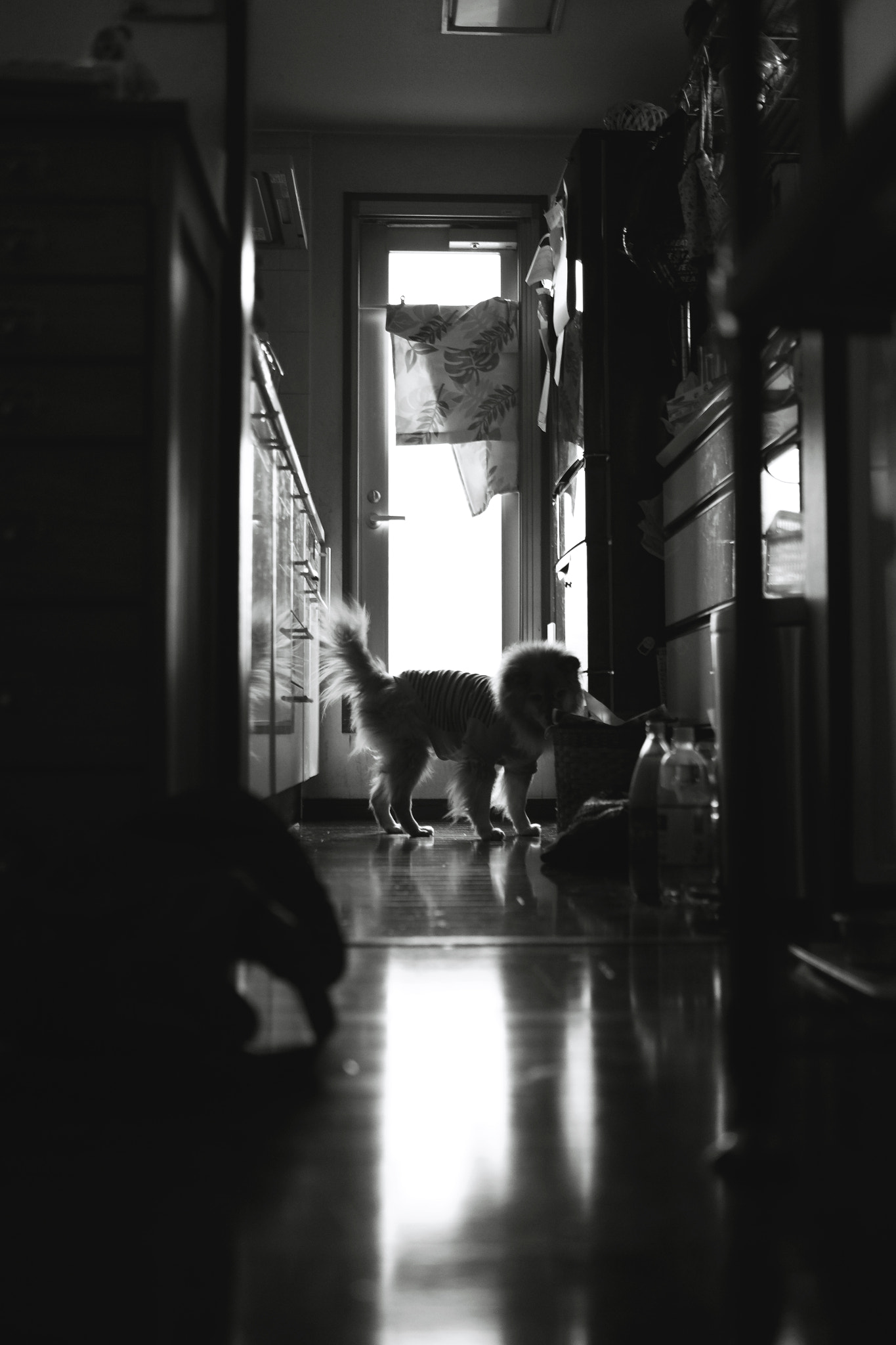 Fujifilm X-E1 + Fujifilm XF 23mm F1.4 R sample photo. Yume photography