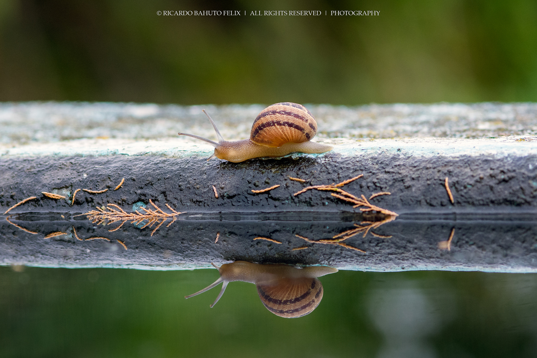Nikon D7100 + AF Micro-Nikkor 105mm f/2.8 sample photo. His journey to 2016... photography