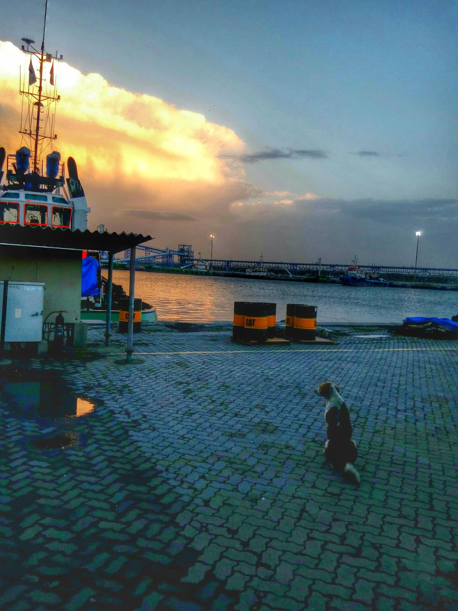 HTC DESIRE 820G PLUS DUAL SIM sample photo. Good things take time photography