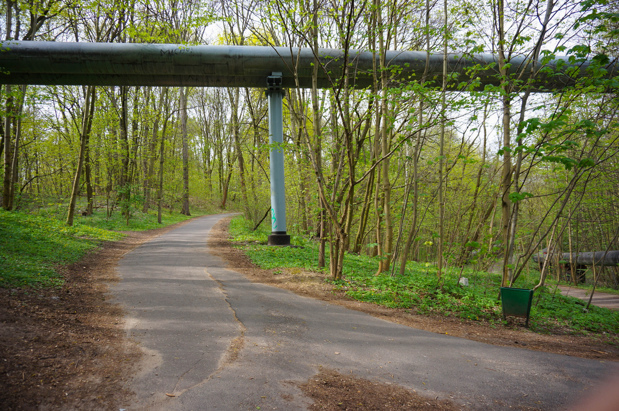 Sony E 16-50mm F3.5-5.6 PZ OSS sample photo. Park footpath photography