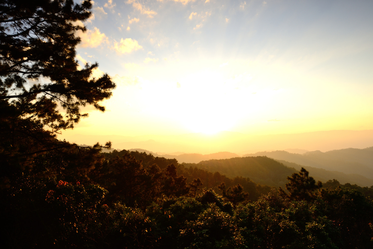 Nikon D800 + Nikon PC-E Nikkor 24mm F3.5D ED Tilt-Shift sample photo. Doi mae ta man photography