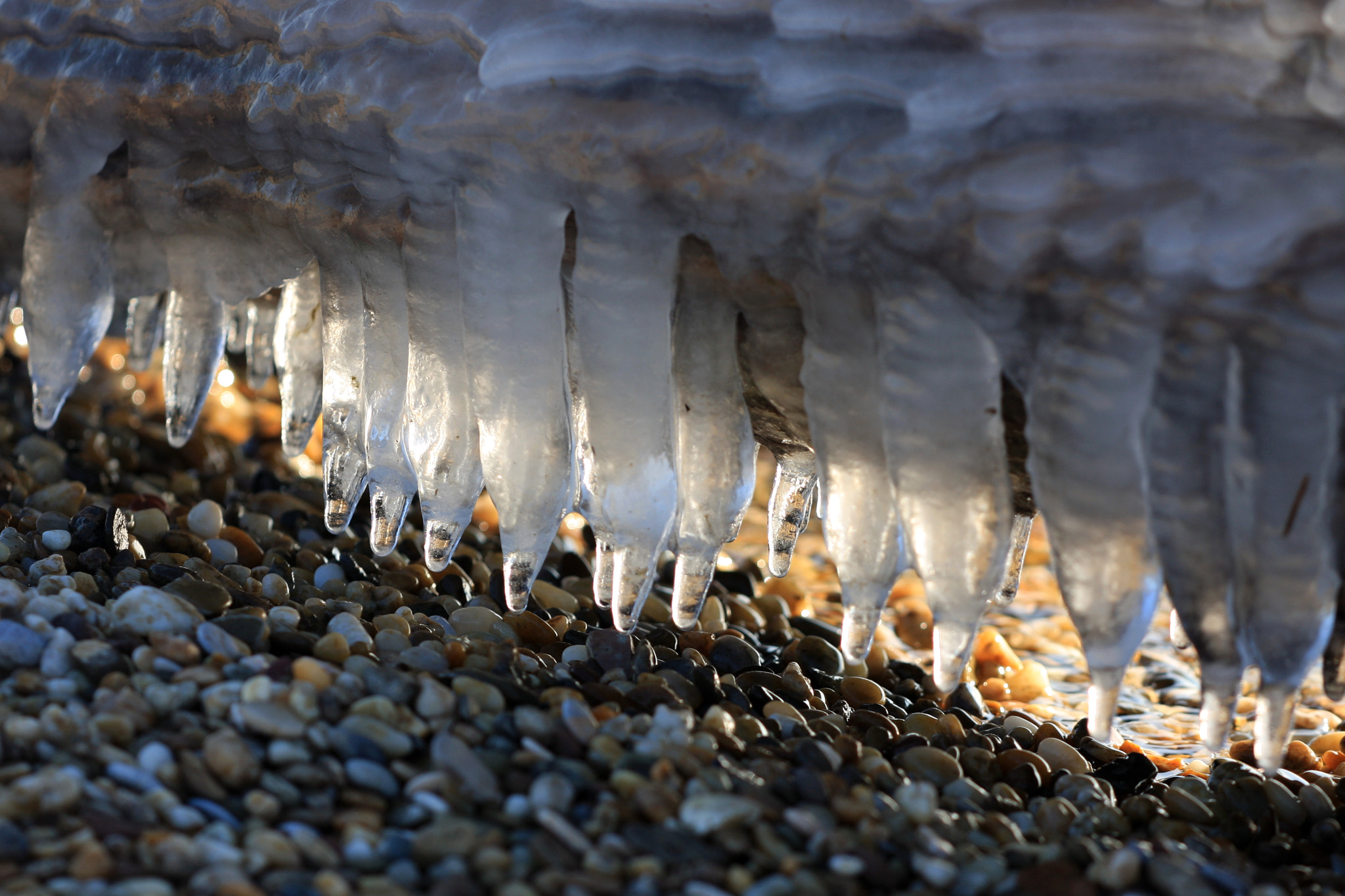 Canon EOS 40D + Sigma APO Macro 150mm f/2.8 EX DG HSM sample photo. Chilopod photography