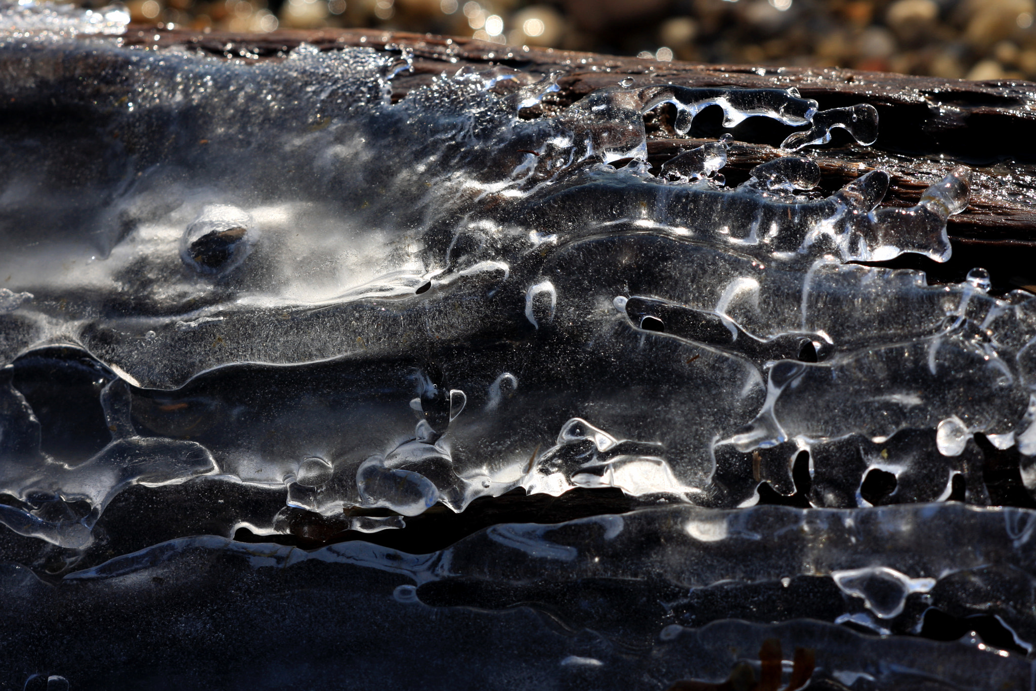 Canon EOS 40D + Sigma APO Macro 150mm f/2.8 EX DG HSM sample photo. Frozen river photography