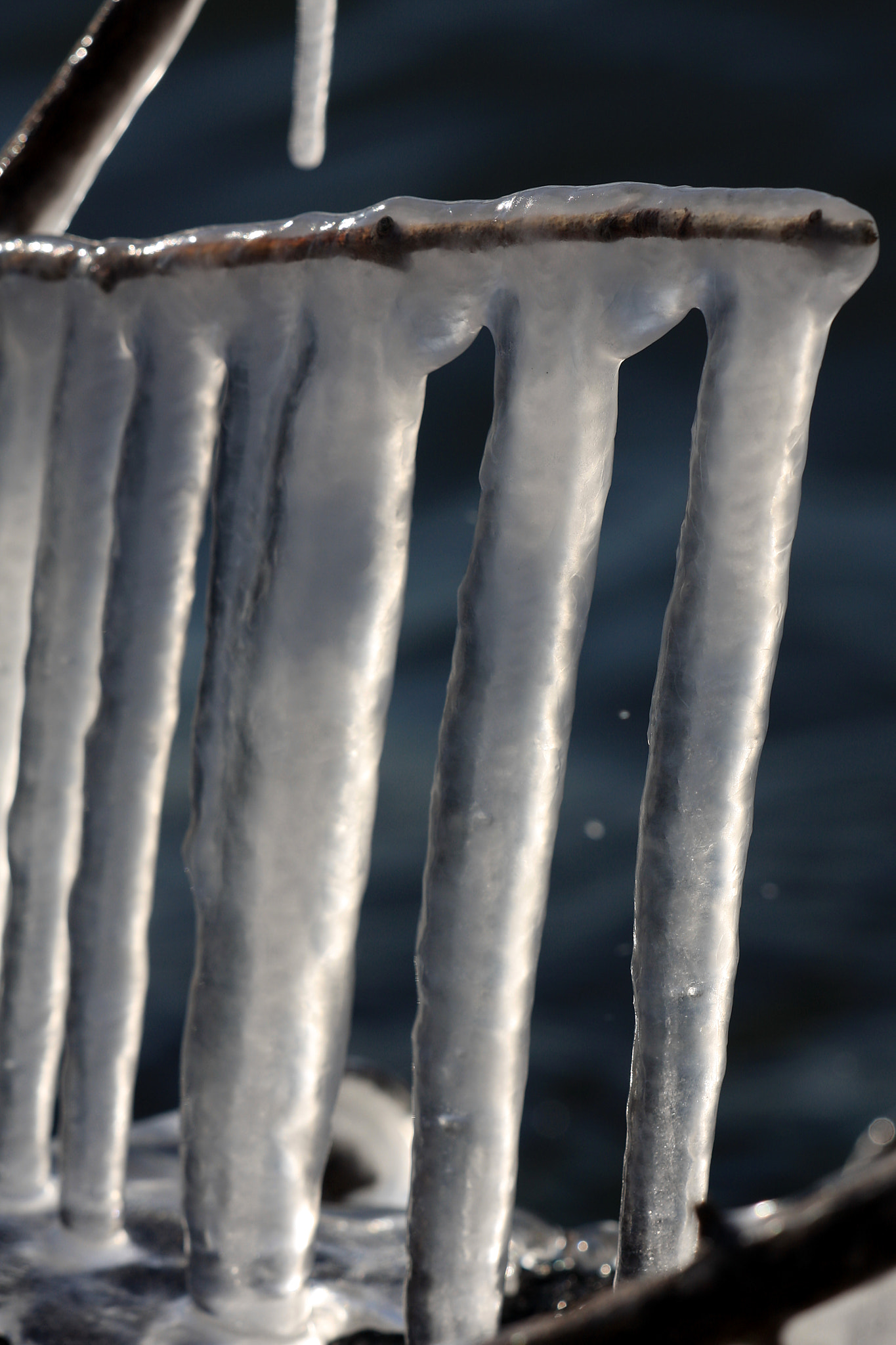 Sigma APO Macro 150mm f/2.8 EX DG HSM sample photo. Icicles ii photography