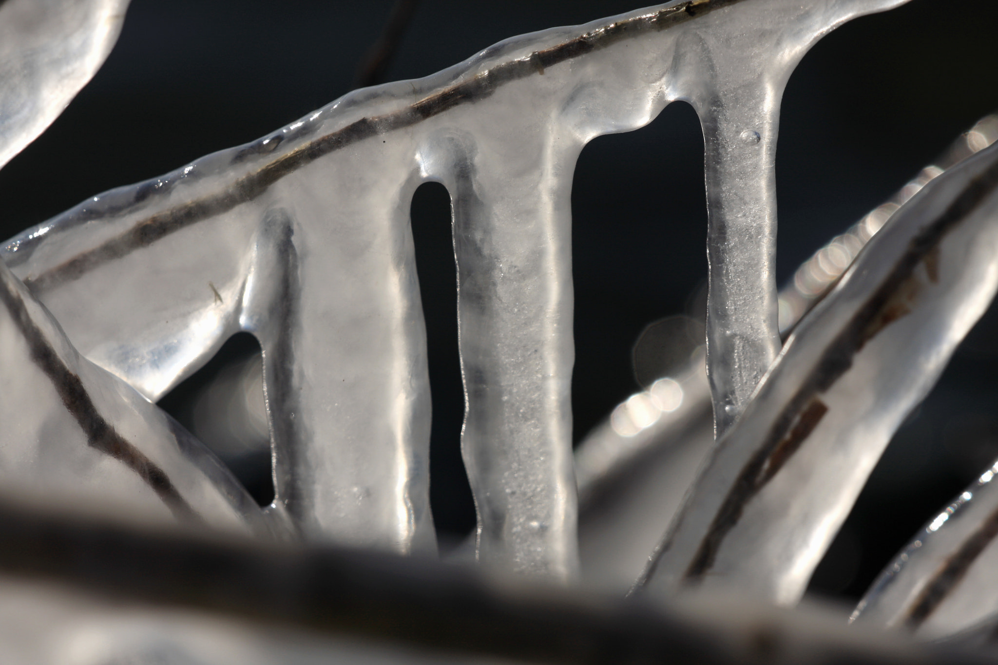 Sigma APO Macro 150mm f/2.8 EX DG HSM sample photo. Icecape photography