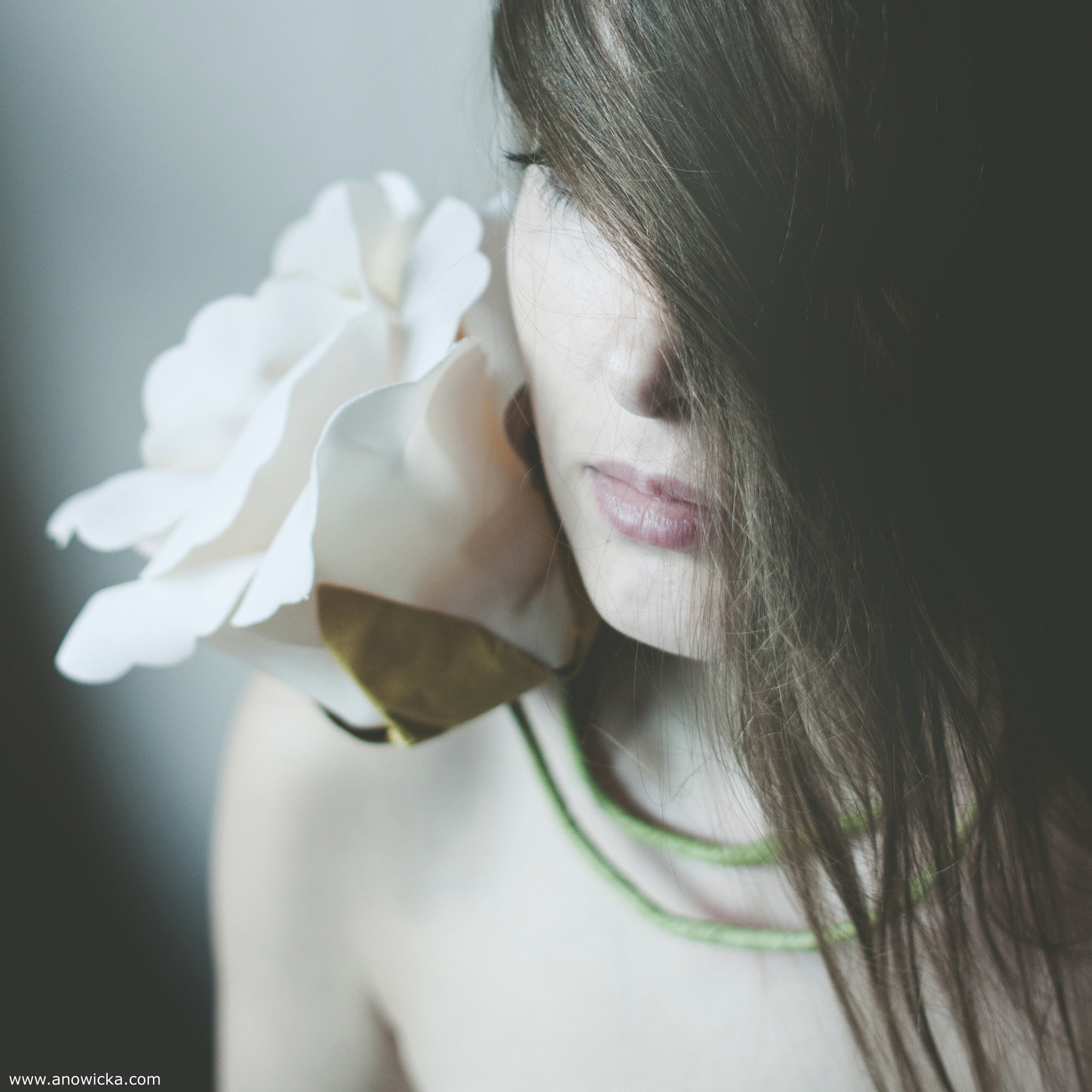 Canon EOS 50D + Canon EF 28mm F1.8 USM sample photo. Rose photography
