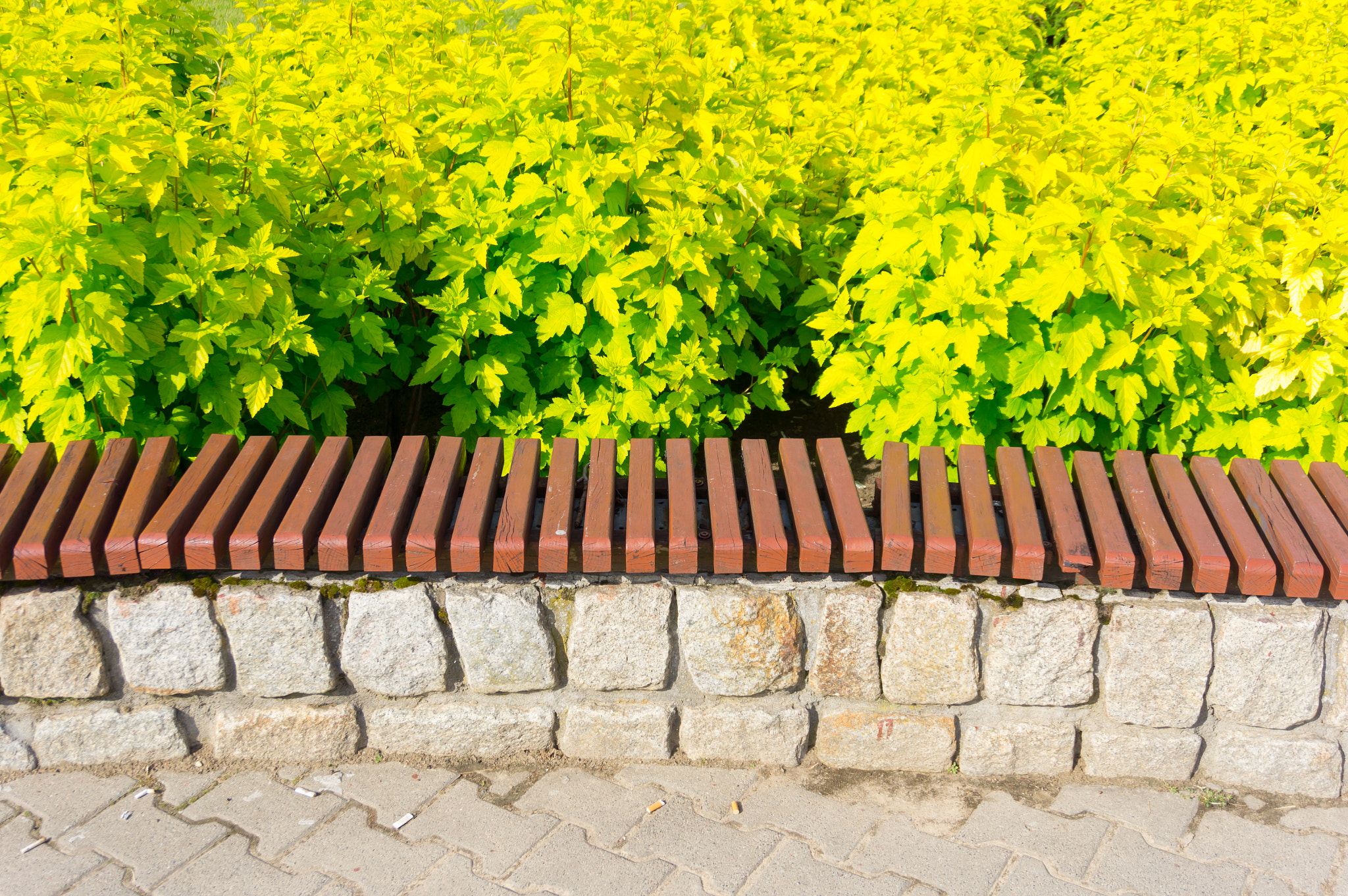 Sony E 16-50mm F3.5-5.6 PZ OSS sample photo. Park bench photography