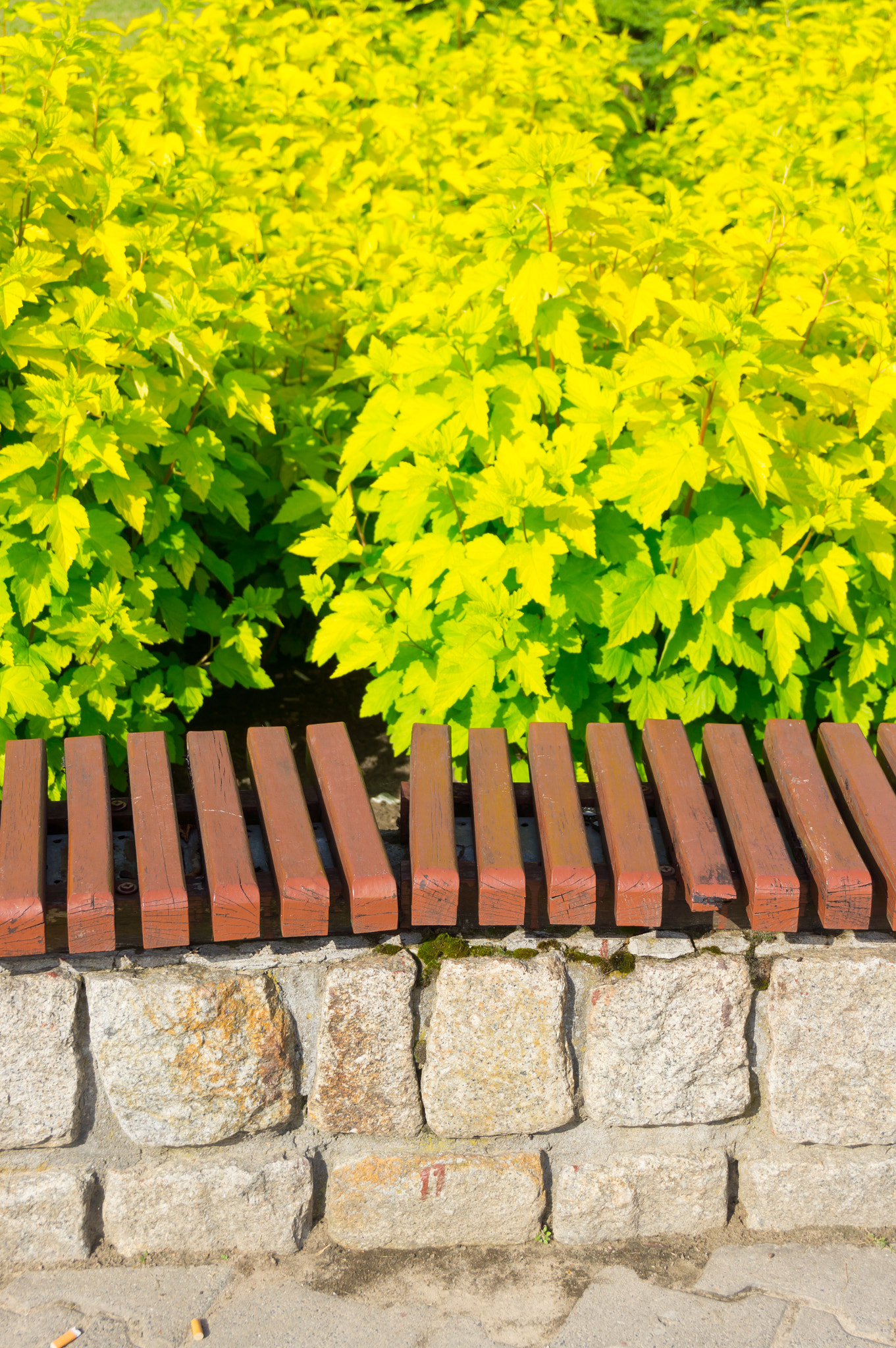 Sony E 16-50mm F3.5-5.6 PZ OSS sample photo. Park bench photography