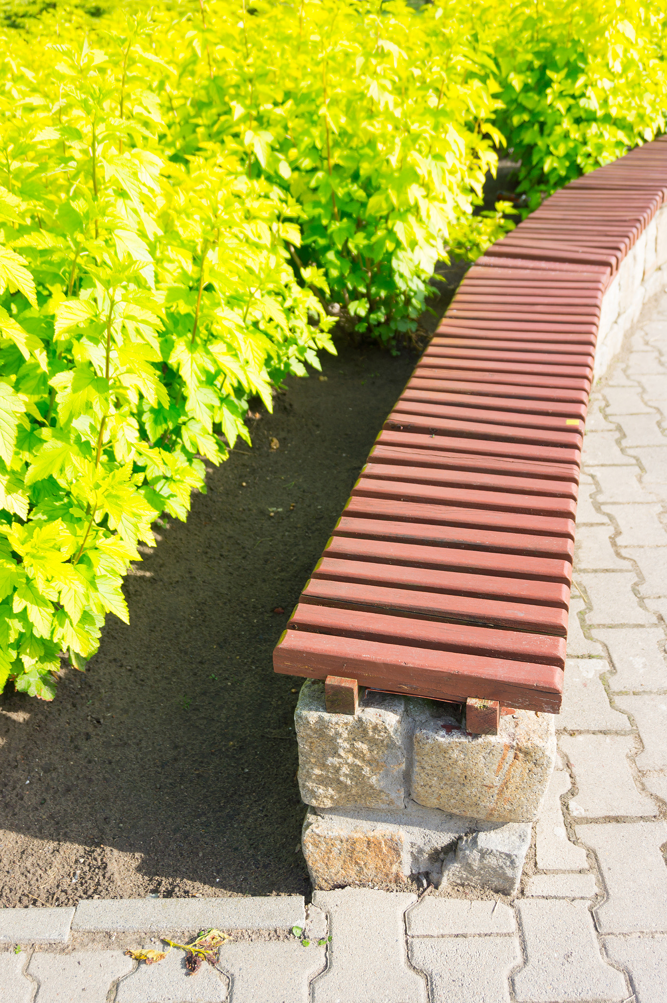 Sony E 16-50mm F3.5-5.6 PZ OSS sample photo. Park bench photography