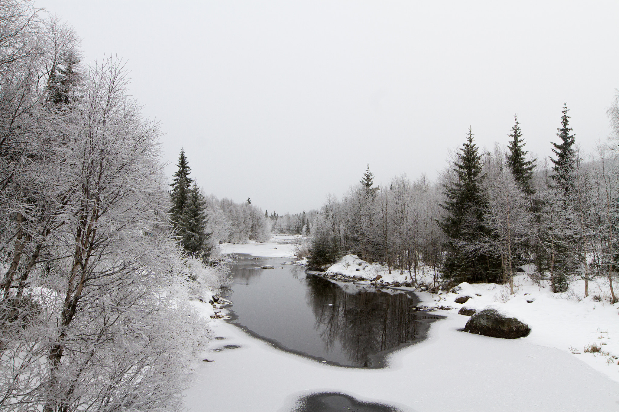 Canon EOS 7D + Sigma 20mm F1.4 DG HSM Art sample photo. Frozen trees and river photography