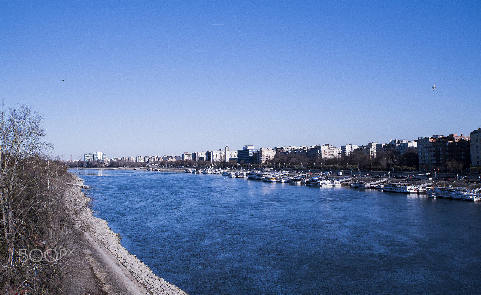 Tamron 18-270mm F3.5-6.3 Di II PZD sample photo. Blue brother photography