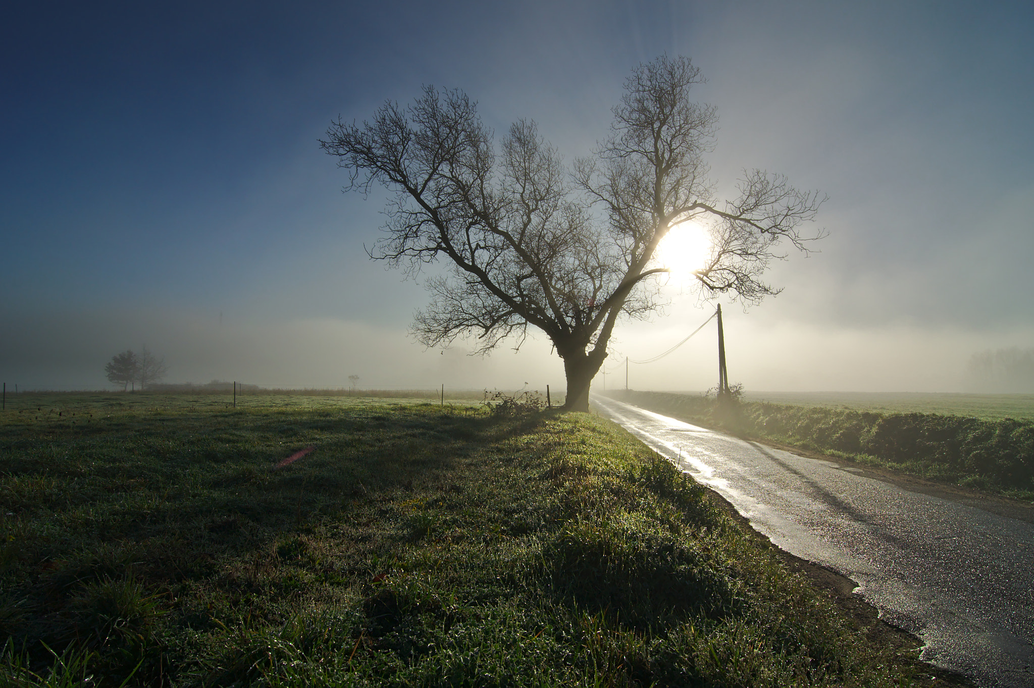 Nikon D90 + Tokina AT-X Pro 11-16mm F2.8 DX sample photo. The power of light photography