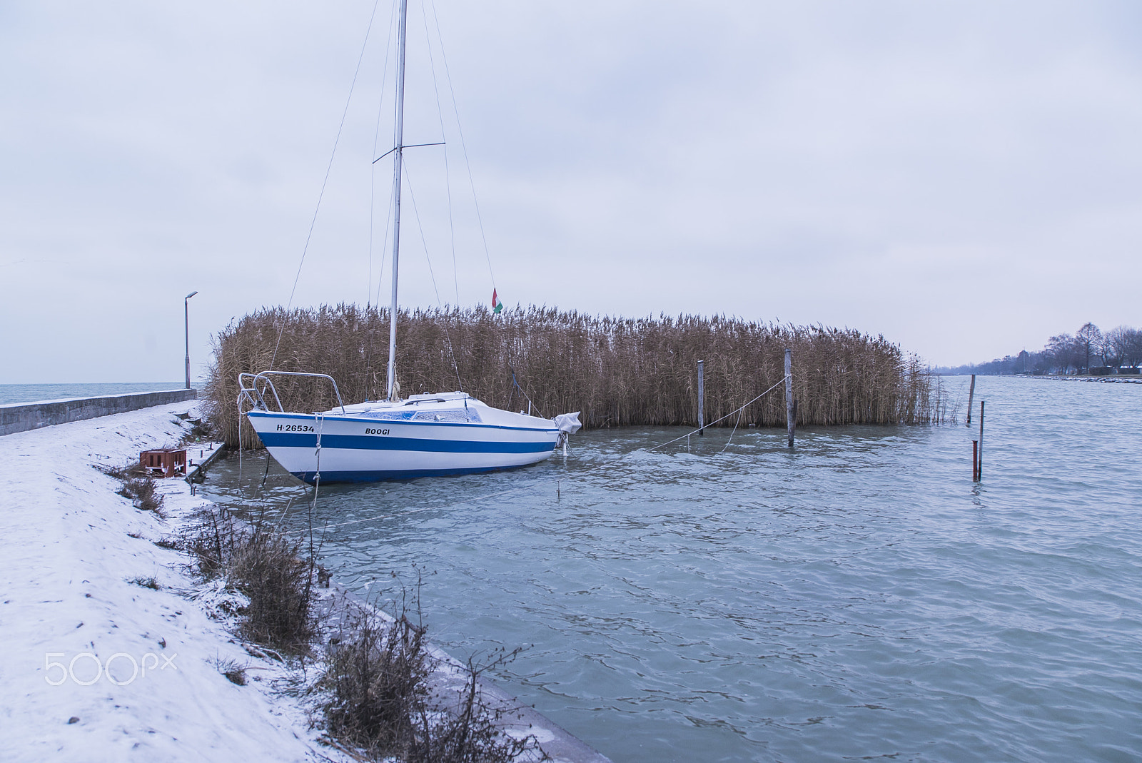 Tamron 18-270mm F3.5-6.3 Di II PZD sample photo. White floating point photography