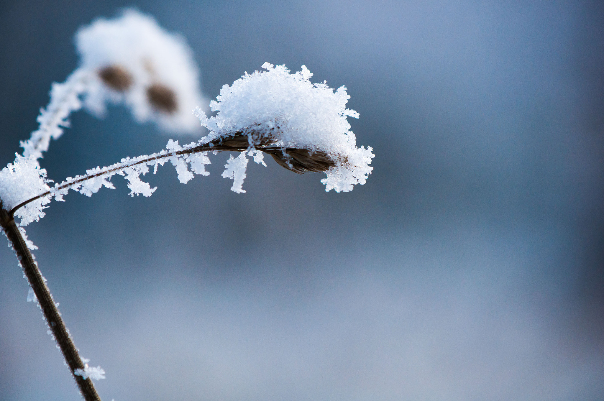 Nikon AF-S DX Micro-Nikkor 85mm F3.5G ED VR sample photo. Snow photography