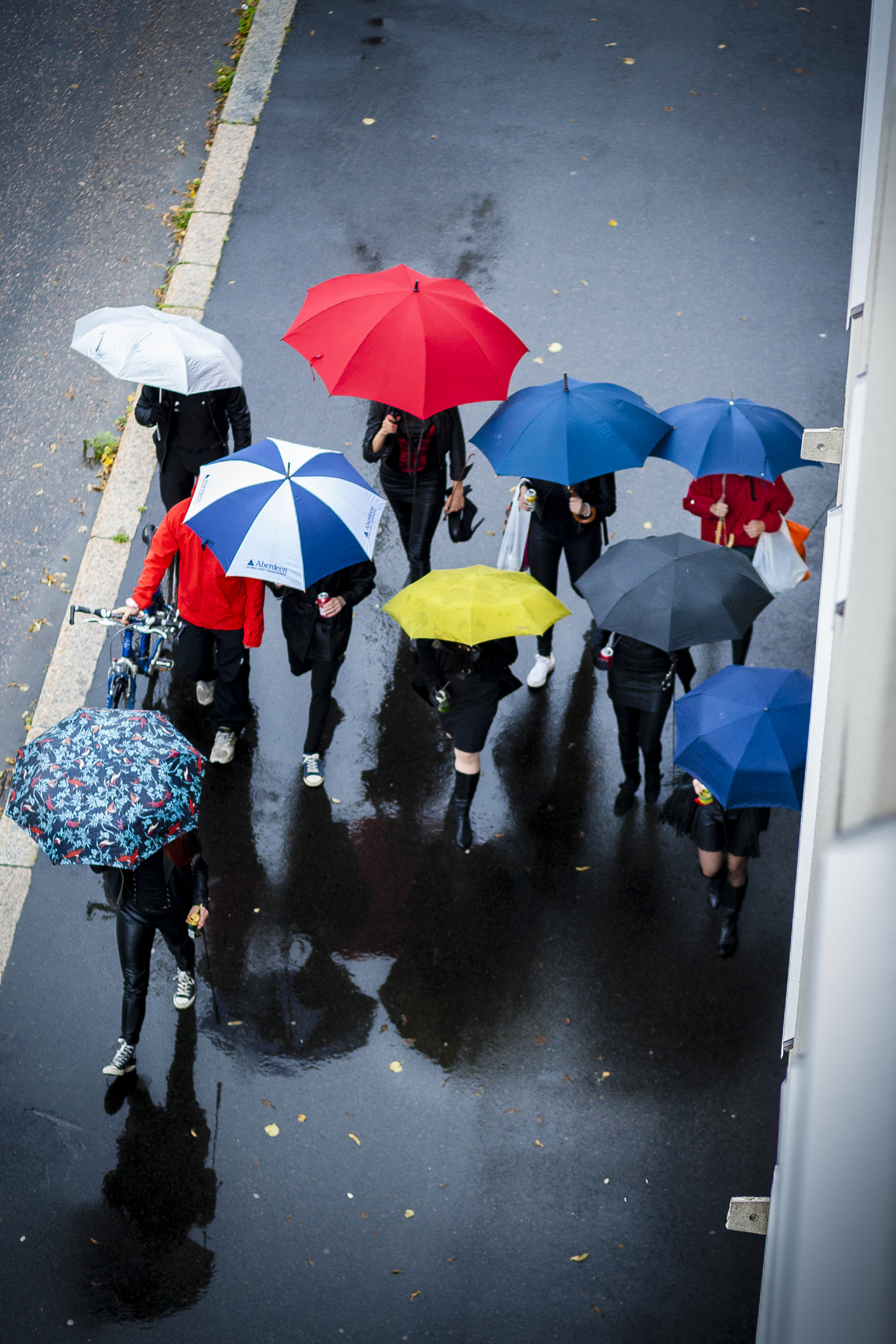 Canon EOS-1D Mark III sample photo. Umbrellas.jpg photography