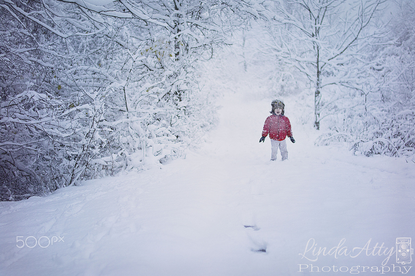 Sigma 30mm F1.4 EX DC HSM sample photo. First snow. photography