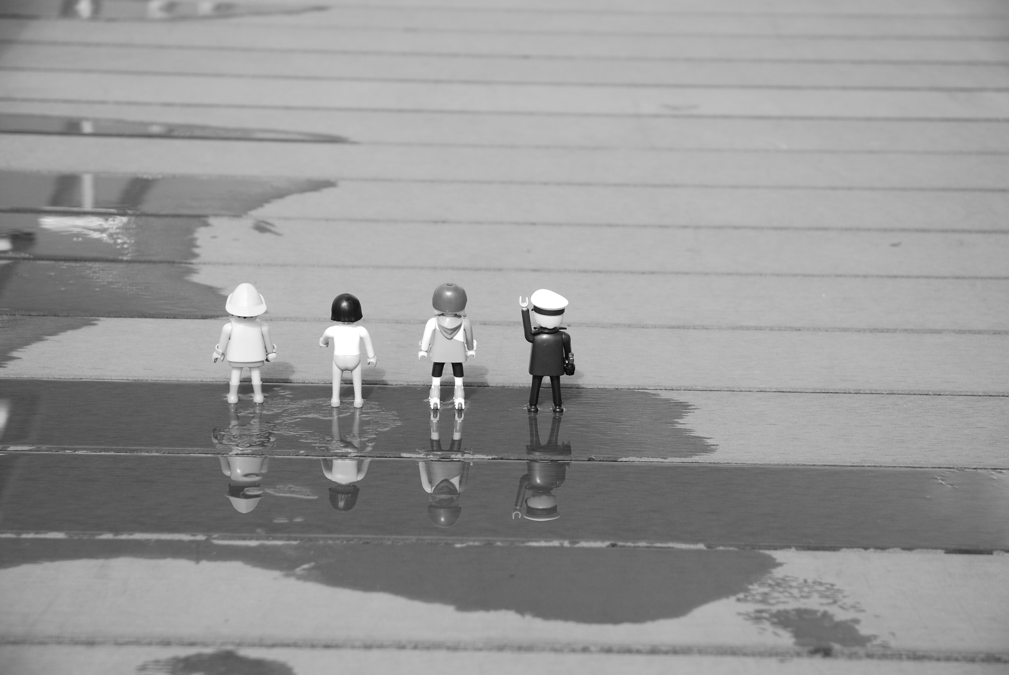 Nikon D60 sample photo. Csc_0447.jpg photography