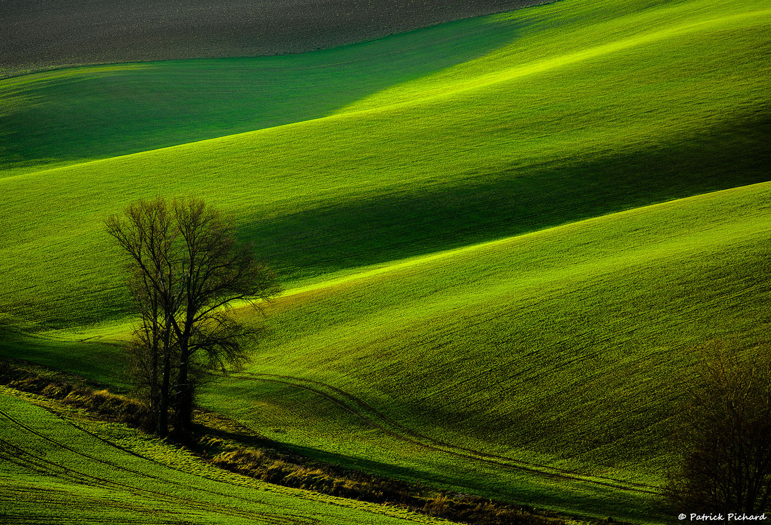Nikon D810 + AF Nikkor 180mm f/2.8 IF-ED sample photo. Lauragais photography