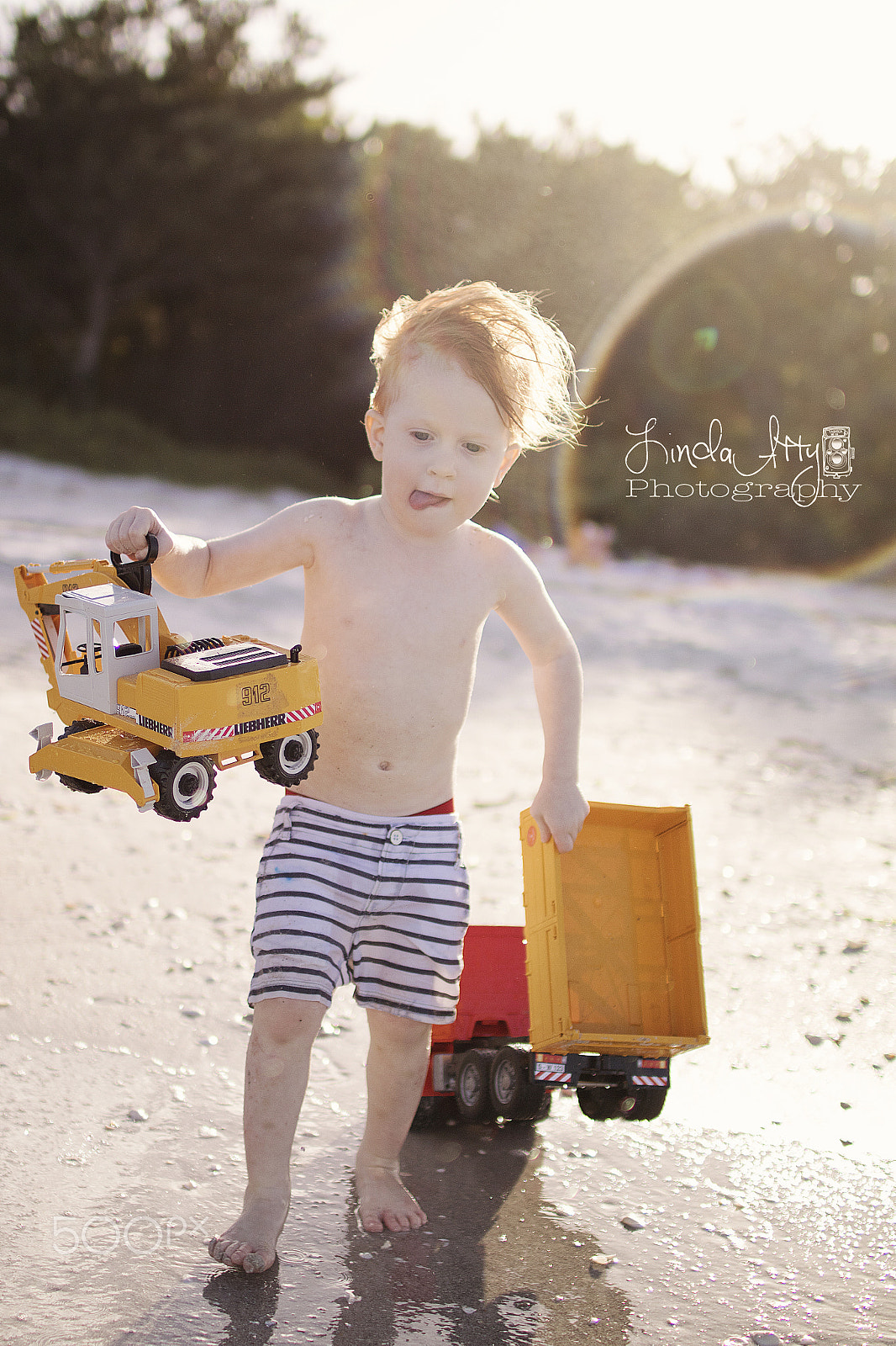 Sigma 30mm F1.4 EX DC HSM sample photo. Sanibel photography
