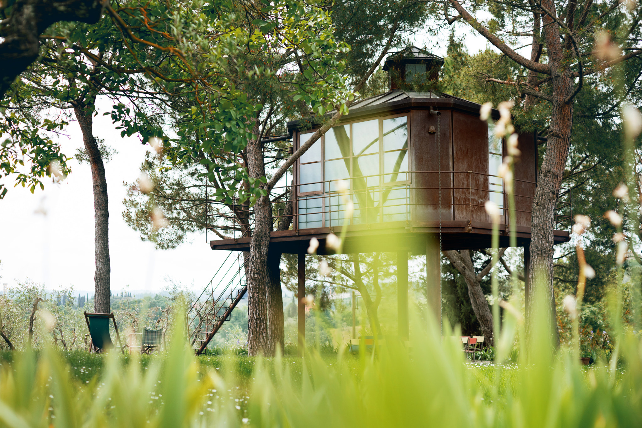 Sony a7 + Sony 50mm F1.4 sample photo. Italy treehouse photography