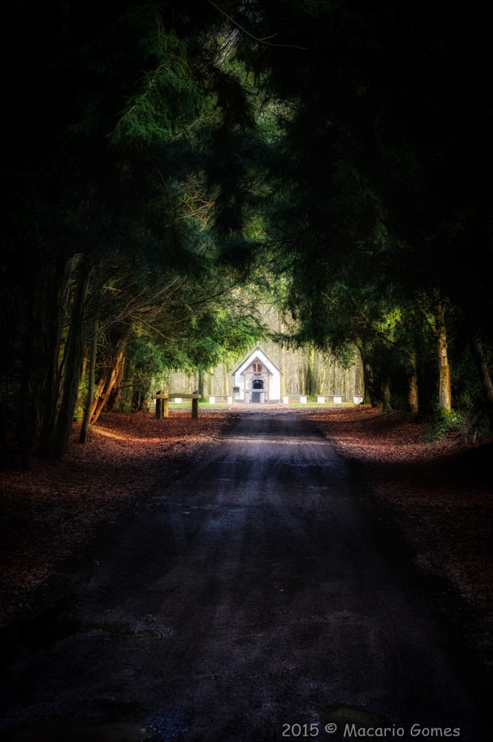 smc PENTAX-F 50mm F1.7 sample photo. Little chappel in the woods photography