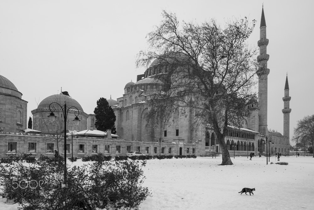 Nikon D800E + Nikon PC-E Nikkor 24mm F3.5D ED Tilt-Shift sample photo. Suleymaniye photography